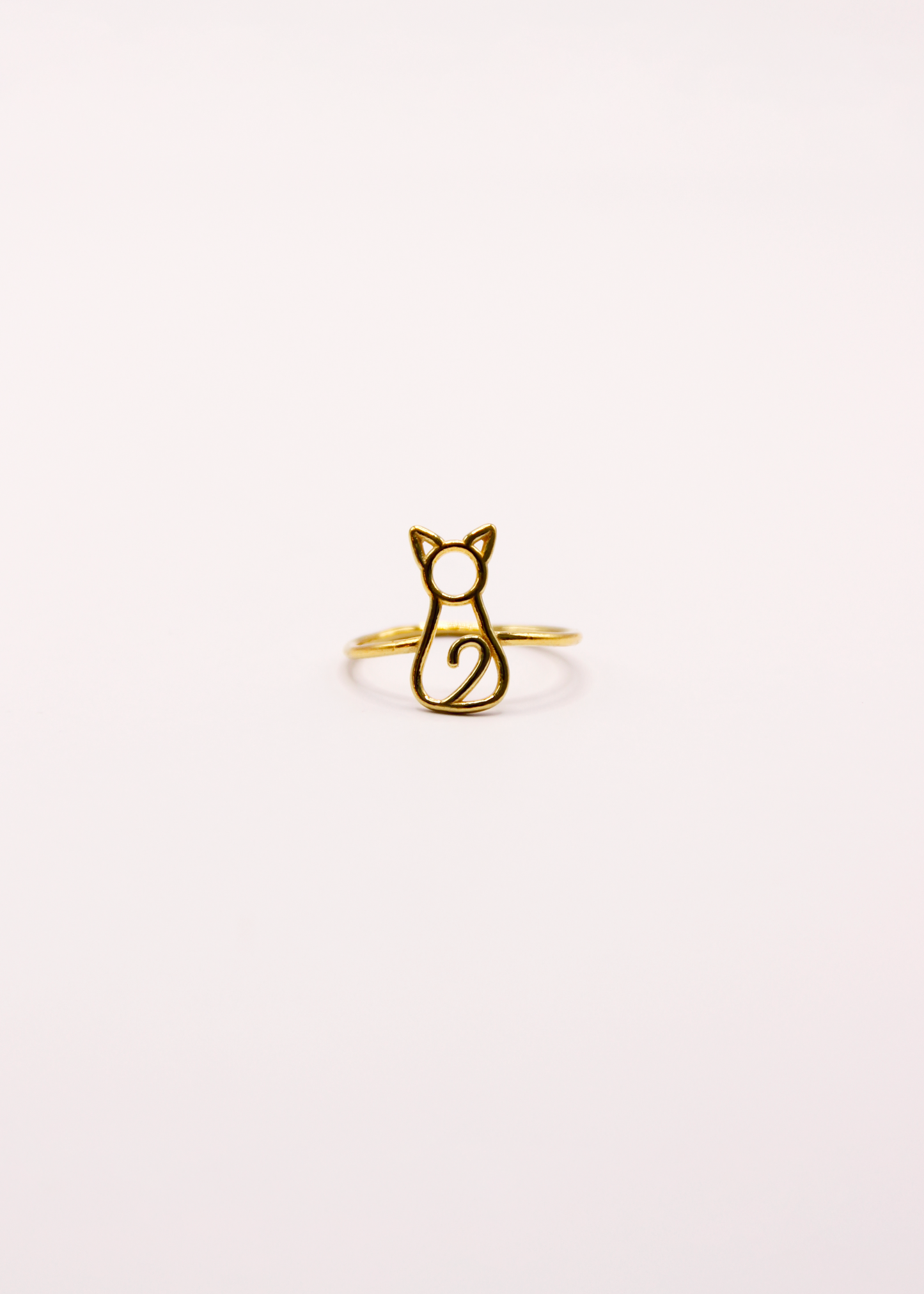 Anello Gatto