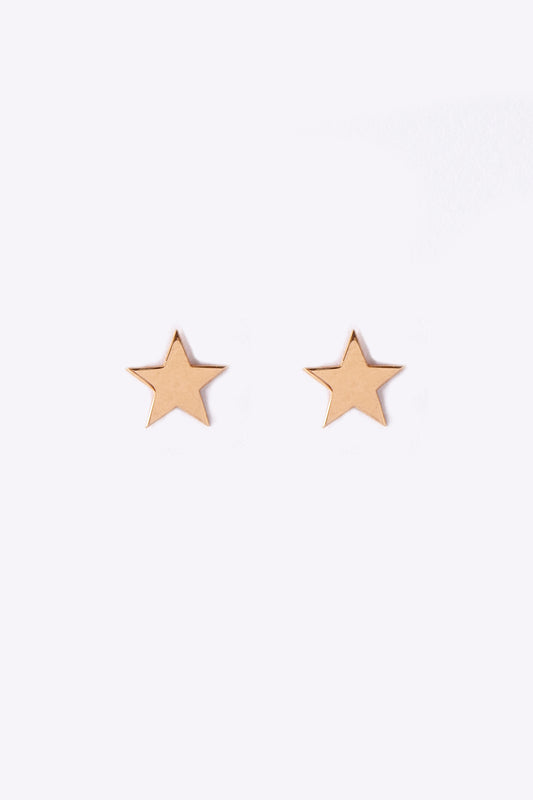 玫瑰银星耳环